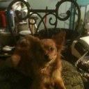 lewis engle - @engle_lewis - Twitter