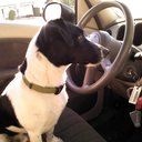 Claude wright - @Buck89Claude - Twitter