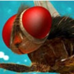 Came as Eega | Saw as Naan Ee | Will conquer as Makkhi | Oct. 12.