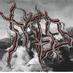 MORE THAN DEFEAT (@mtd_metalcore) Twitter profile photo