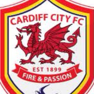 CARDIFF__CITY's profile picture. 