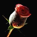 tommy gaines - @tjjoe2 - Twitter