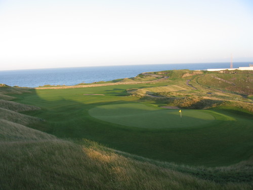 tigerwhoo00's profile picture. 