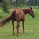 Shellie Williams - @Sheltonia69 - Twitter