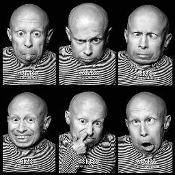 VerneTroyer Profile Picture