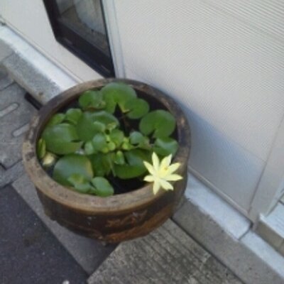 しもしも