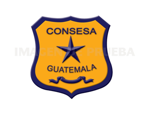 Nuestra Empresa es de solido prestigio, en la cual nos hemos dedicado a prestar un excelente servicio aplicado a todos los productos que ofrecemos en seguridad.