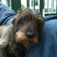 Harriet Graham (@harrietgraham1) 's Twitter Profile Photo Harriet Graham (@harrietgraham1) 's Twitter Profile Photo