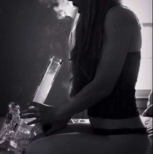 S0_thisBITCH's profile picture. just livin life through my bloodshot eyes. smoke weed. be happy. pretty hippie. #stonernation ❤ ✌