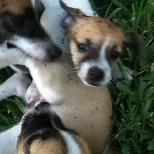 KibbAstBibb's profile picture. I Love @JustinBieber
Im Mrs.Bieber
Justin Please follow me