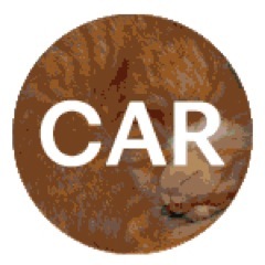 A podcast about art and ideas