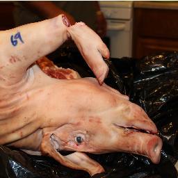 ic6632's profile picture. 