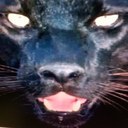 whitney vance - @whitneyvance7 - Twitter