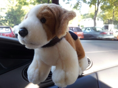 JPGL01's profile picture. 