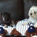 Sarah Olinger - @solinger12 - Twitter