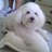 barbiec48's profile image