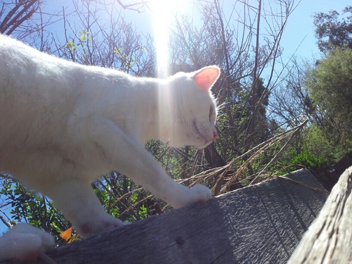 Stiffmanoz's profile picture. I enjoy making stuff. studying media production and work in Audio Visual. I am married to my wonderful wife, and we have two fur babys