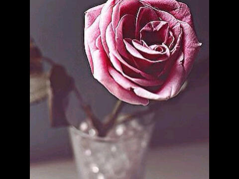 فتاة في أواخرالعشرينات لكن بمزاجية اواخر الستينات..أعشق الرُقي بكل شئ ♡