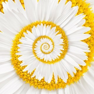 janeriver74's profile picture. 