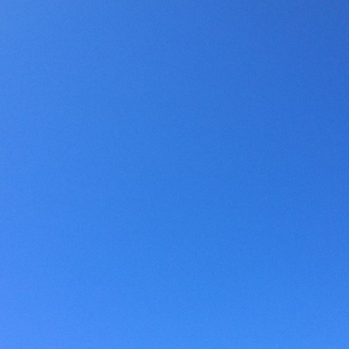 frankpertile's profile picture. 