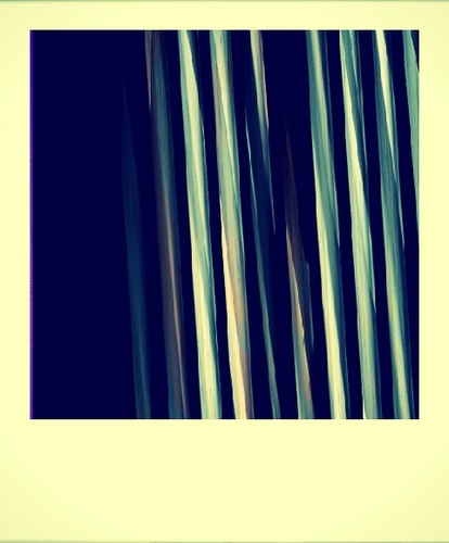 lostinolivia's profile picture. 