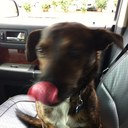 John Lance - @vfeistr - Twitter