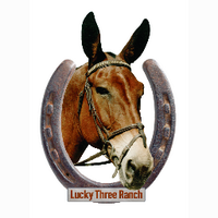 Lucky Three Ranch (@luckythreeranch) 's Twitter Profile