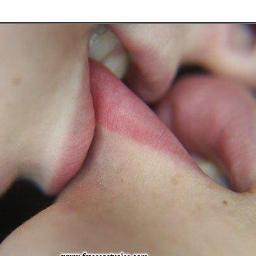 OneFuckingTweet's profile picture. 