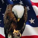 Marcus Brice - @tttBrice1 - Twitter