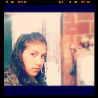 follow me and follow back