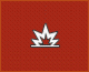 Check out our website!