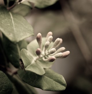 Just sharing my love for photography.