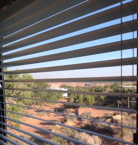 martindalehouse's profile picture. 