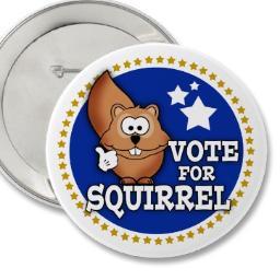 If you think a squirrel can do better at President, Governor, or anything else, just like and VOTE FOR SQUIRREL!!