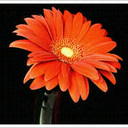 Lisa Graybill - @lajalisa - Twitter