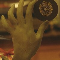 세콰이어 (@tpzhkdldj) 's Twitter Profile Photo