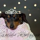 Carol Chenoweth - @ChenowethCarol - Twitter