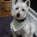 KJ & Debbi Lewis - @KJDebbiLewis - Twitter