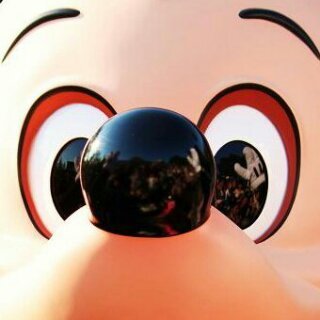 ayamickey1928 Profile Picture