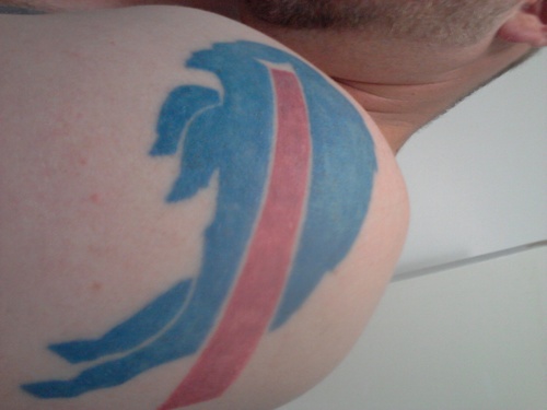 All about my Buffalo Bills and my little monster