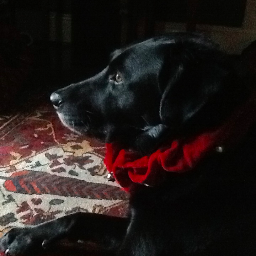 lyndeed's profile picture. life's too short to hold grudges & for petty stuff.