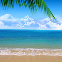 penny cain - @pennycain5 - Twitter