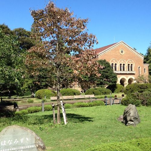 いつもあなたのそばに週刊一橋。一橋や国立についてのお得な耳ヨリ情報、ムダ知識、奇妙な噂などをつぶやきます。情強一橋生のマストアイテム！！ ＊一橋新聞や一橋通信とは一切関係ありません。＊あくまで個人の情報源に基づくので情報の真偽には責任を負いかねます。＊ゴシップ上等