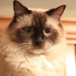 int30h's profile picture. 