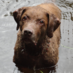 Tania Tiller (@tantil1) Twitter profile photo Tania Tiller (@tantil1) Twitter profile photo