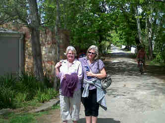 debifai's profile picture. 