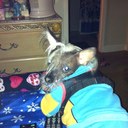 Cindy Buchanan - @CindyBuchanan18 - Twitter