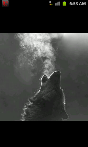 sdks1's profile picture. 