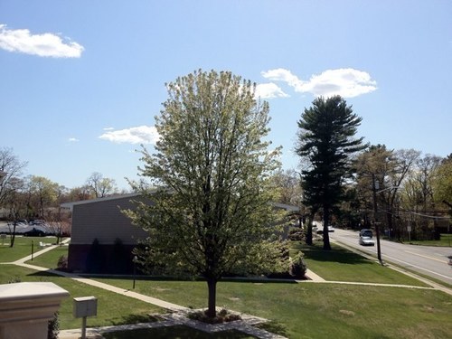 AliasHandler's profile picture. Mostly politics. Time Magazine's Person of the Year, 2006.  Retweets are frequent.