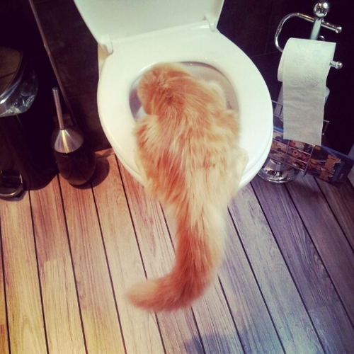 It wasn't me!